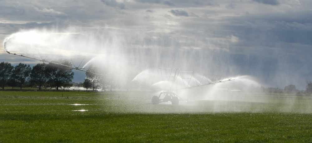 Irrigation in action